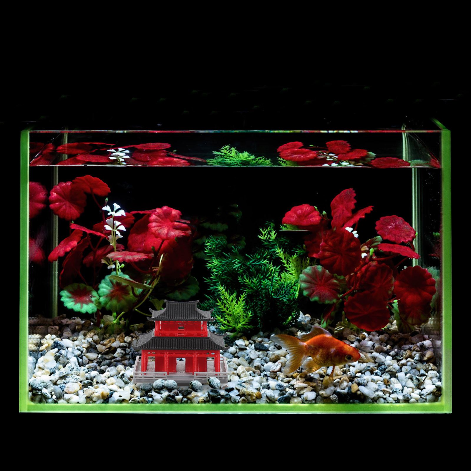 Миниатюрная пагода в стиле дре – обзор и цена Aquarium & Marine Science Center