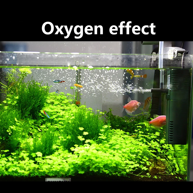 SUNSUN mini nano 111B 311B 611 – обзор и цена Marine Aquarium Design
